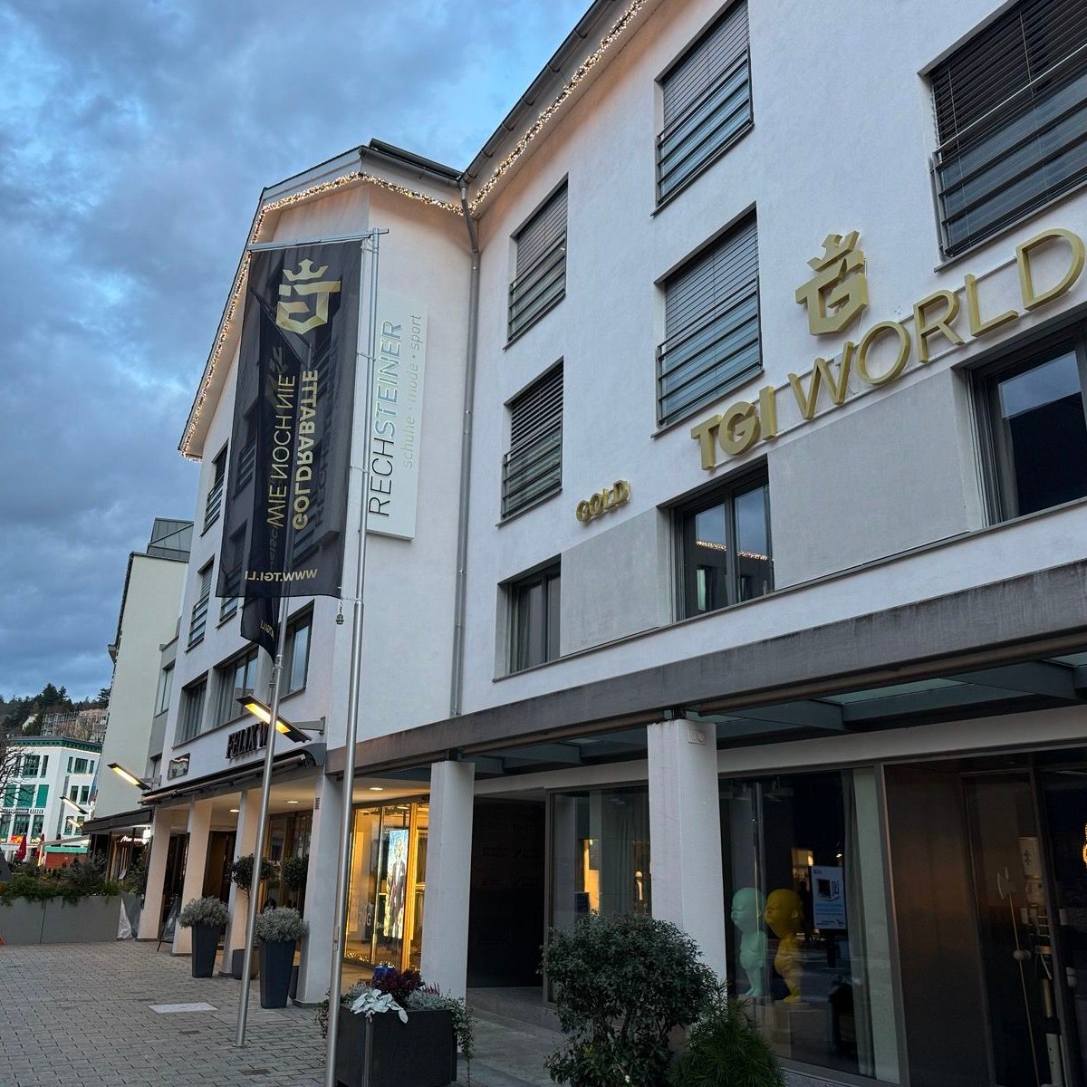 When Your Gold Storage Provider Is a Reality TV Star: The TGI Gold Scandal Every Austrian Investor Needs to Understand