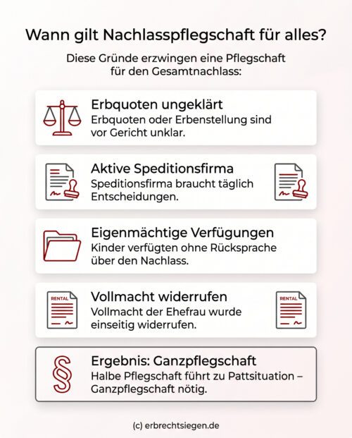 Infographic outlining requirements for estate guardianship including unclear inheritance shares and active businesses