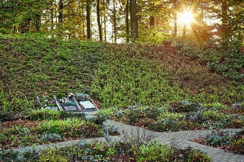 Cemetery in Dachsenhausen