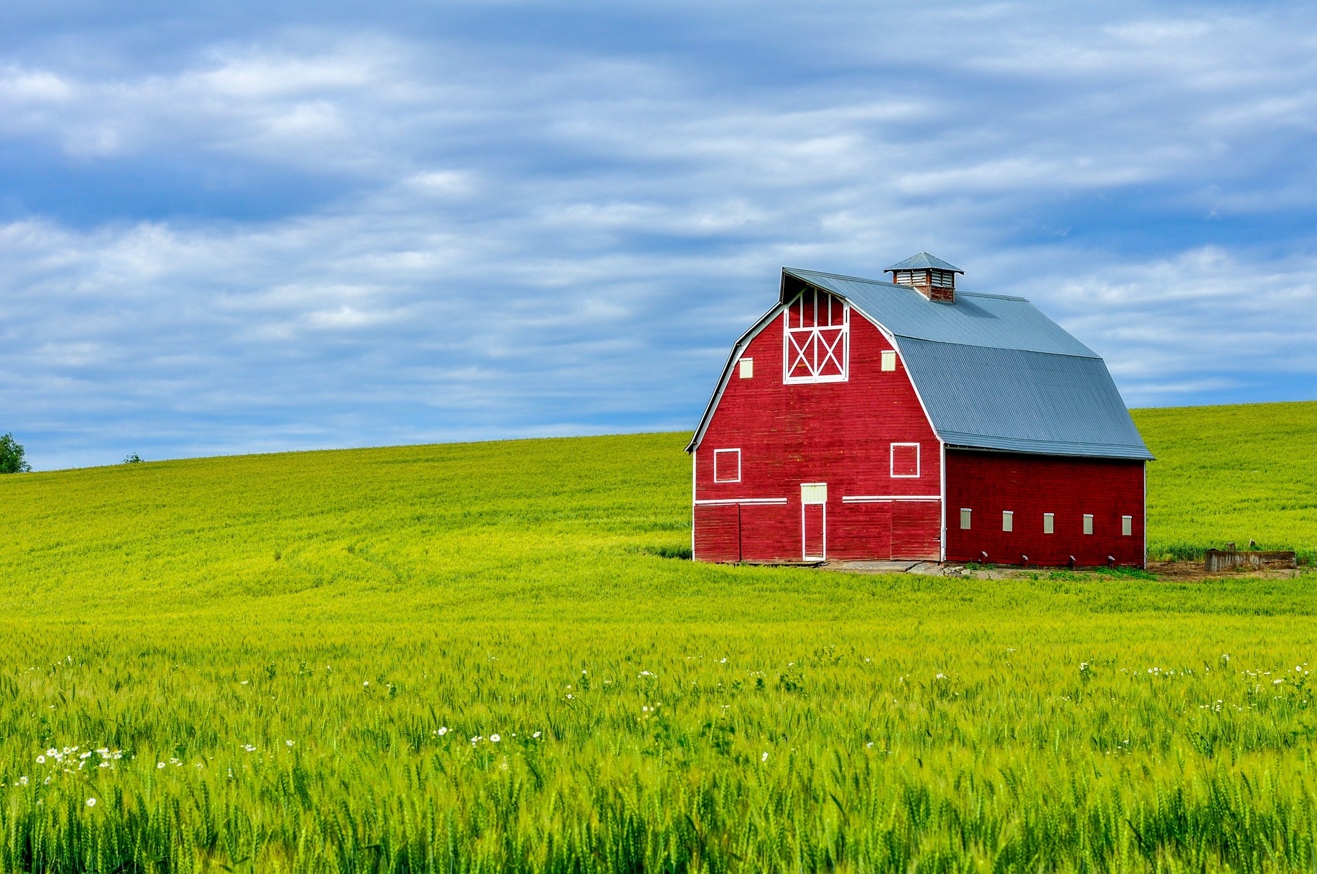 Is Buying German Farmland Worth It? The Real Math on €100,000 of Weideland