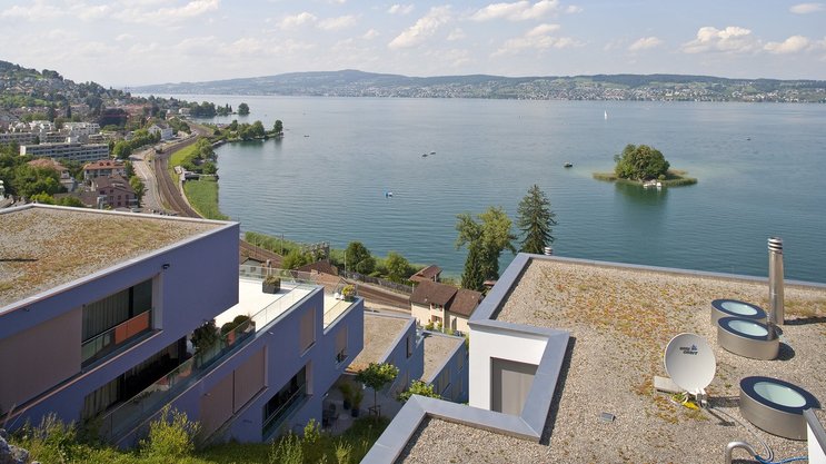 SARON Forever? Why Swiss Mortgage Owners Are Ditching Rate Forecasts for Good